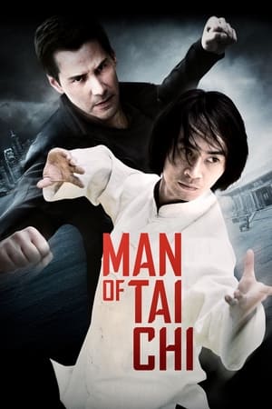 Man of Tai Chi (2013) Hindi Dual Audio – 480p